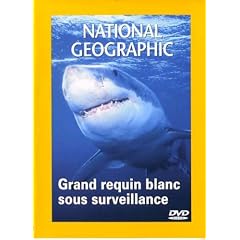 National Geographic : Grand requin blanc sous surveillance