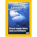 National Geographic : Grand requin blanc sous surveillance