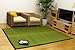 YOJ[ybg wFnJ[xiFE^gp) TCYF176~230cm J[FO[(#8422660)
