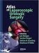 Book Atlas of Laparoscopic Urologic Surgery (Atlas Of...)