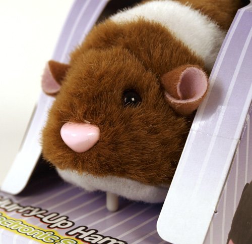 Hurry-up Hamster