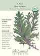 Red Winter Kale Certified Organic Heirloom Seeds 250 Seeds