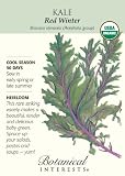 Red Winter Kale Certified Organic Heirloom Seeds 250 Seeds