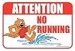 Rex Otter Pool Sign - No Running