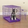 ProSelect Steel/Plastic Fold-Down Dog Crate, Small, 24-Inch, Pink