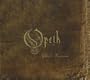 Ghost Reveries (W/Dvd) (Spec) (Dig)