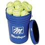 MacGregor Bucket of 2 Dozen Yellow 12 Inch Softballs
