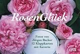 RosenGl�ck. Klappkarten: Mit 12 Motiven von J�rgen Becker durchs Gartenjahr - J�rgen Becker