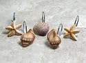 Scuba Jewels Sea Shells and Star Fish Hand-Painted Resin Shower Curtain Hooks