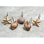 Scuba Jewels Sea Shells and Star Fish Hand-Painted Resin Shower Curtain Hooks