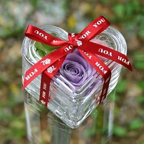 ���������@�h����o���h�v���U�[�u�h�t�����[�@�n�[�g�A�C �p�[�v�����s���N�@�v���[���g �M�t�g�@�N���X�}�X�@�a�����@�����L�O��
