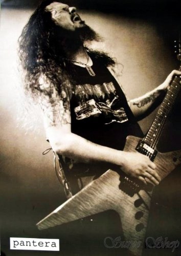 J-1206 Pantera - Dimebag Darrell - Music Wall Decoration Poster#2 Size 24