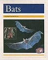 PM Gold Animal Facts Nocturnal Animals Bats (X6): Gold Level (Progress with Meaning)
