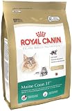 Royal Canin Dry Cat Food, Maine Coon 31 Formula, 6-Pound Bag