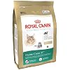 Royal Canin Dry Cat Food, Maine Coon 31 Formula, 6-Pound Bag