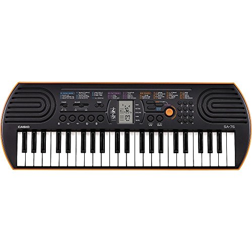 Best Electronic Keyboards for Beginners