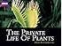 The Private Life of Plants Season 1