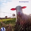 Gesichtsg�nther
