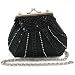 Suzy Smith Small Embellished Clip Frame Bag