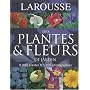 Larousse des Plantes et Fleurs de Jardin