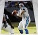 Jake Delhomme Carolina Panthers Autographed 16x20 Photo - Mounted Memories Authenticated