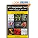 DNA Fingerprinting in Plants: Principles, Methods, and Applications, Second Edition