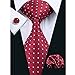 Hi-Tie Mens Red Silk Tie set