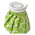 Citron Retro Ice Bag