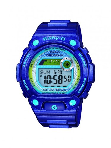 Imagen principal de Casio BLX-100-2ER