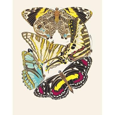 Papillons, by E.A. SÂ©guy (Print On Demand)