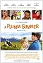 A Plumm Summer Original 27x40 Double Sided Movie Poster - Not A Reprint