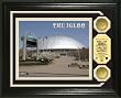 Melon Arena Photomint with 2 24KT Gold Coins