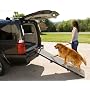 Pet Gear Trifold Dog Ramp, Grey