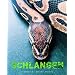 Schlangen
