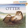 Otter (Animal Lives)