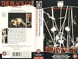 The Black Cat [VHS] [1981]