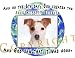 terrier12 - Jack Russell Terrier Mouse Pad Dog Mousepad Creation