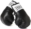 Everlast Mini Boxing Gloves