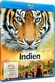 Image de Indien - auf Den Spuren des Tigers [Blu-ray] [Import allemand]