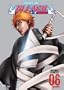 Bleach: Volume 6 - The Entry (Episodes 21-24)