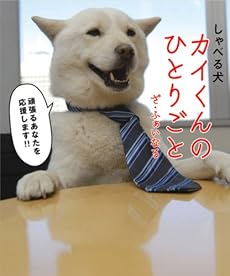カイくんのひとりごと ざ・ふぁいなる