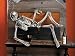 Martha Stewart Crafts Hanging Skeleton