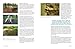 Tudor Monastery Farm: Life in Rural England 500 Years Ago