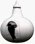 Purple Martin Gourd