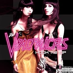 the veronicas goodbye to you