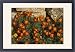 Framed Prints of ROG-11760 French marigolds, by dry stone wall from Ardea Wildlife Pets