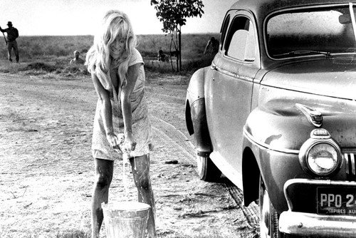 Cool Hand Luke Joy Harmon Wet Dress Sexy 24×36 Poster