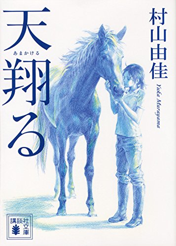 天翔る (講談社文庫)