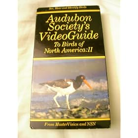 Buy  Audubon Guide to Birds of North America V02  now!
