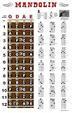 Mandolin Fretboard and Chord Chart Instructional Poster